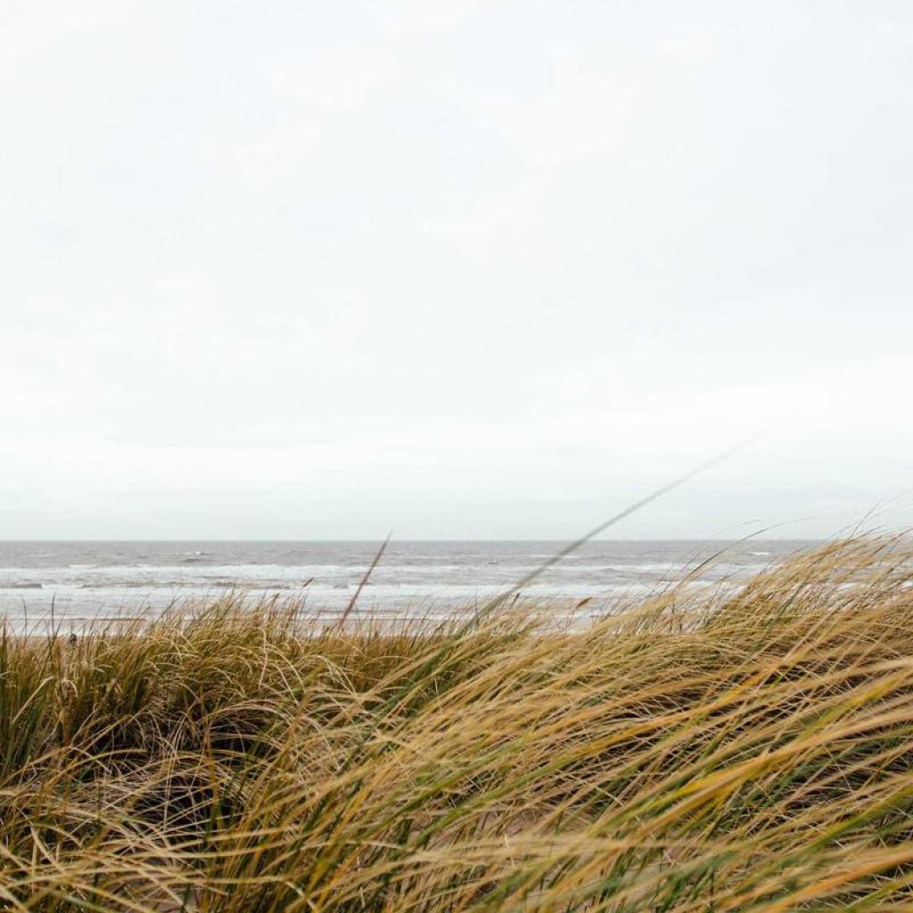 laudantium voluptatum sequi