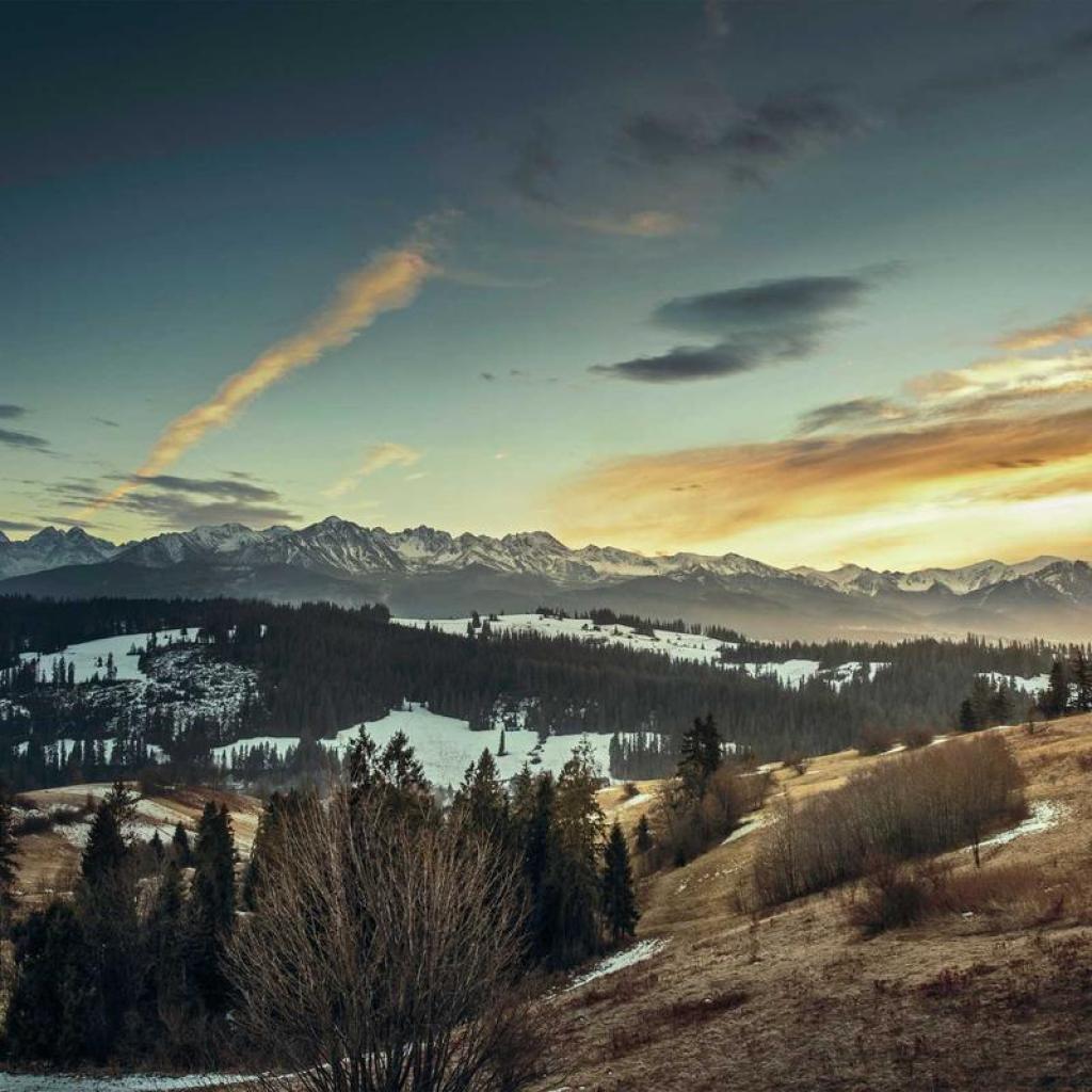 molestiae sunt voluptatum